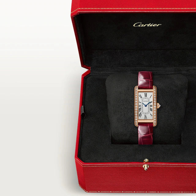 TANK AMÉRICAINE WATCH