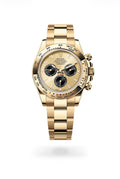 Daytona Gold | Gold Dial | 40mm