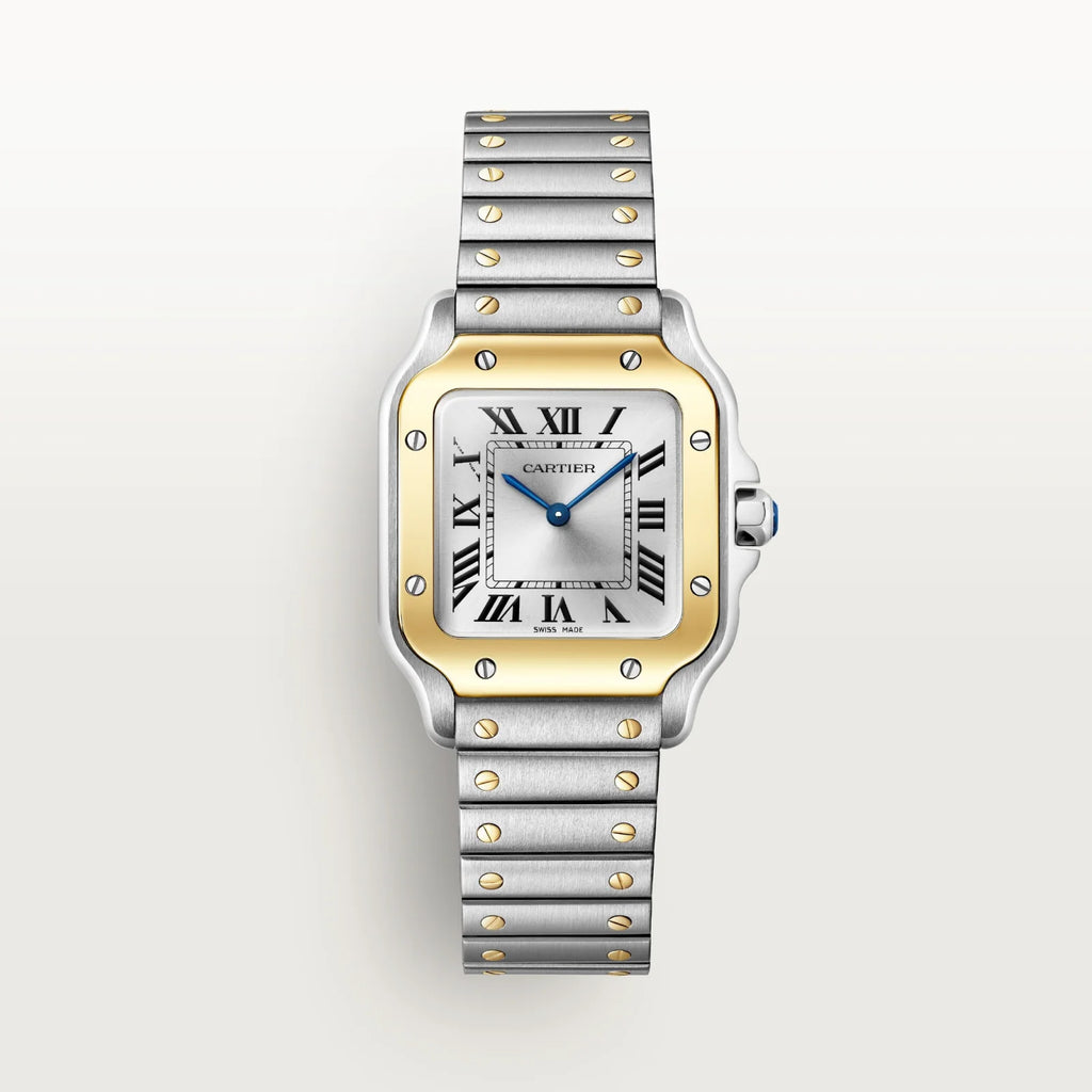 Santos de cartier 39,8mm