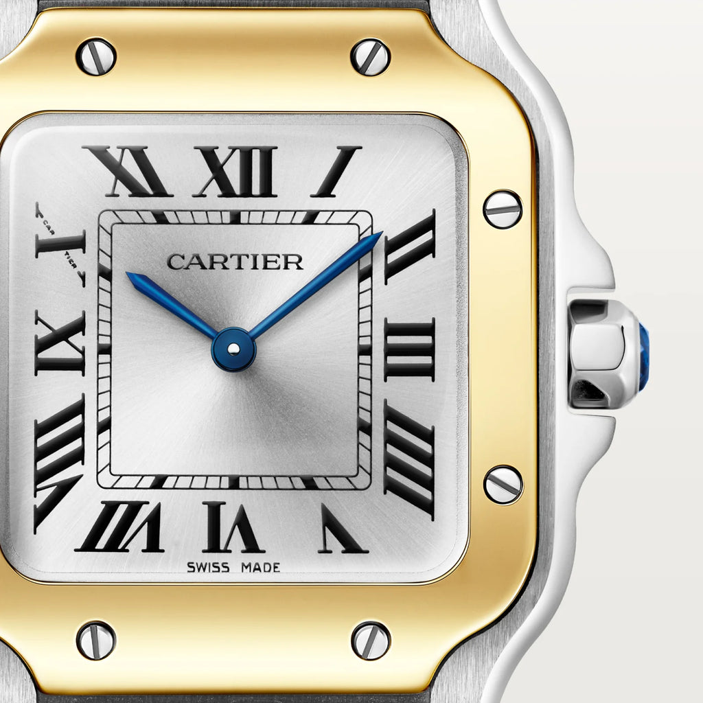 Santos de cartier 39,8mm